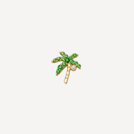 Palm