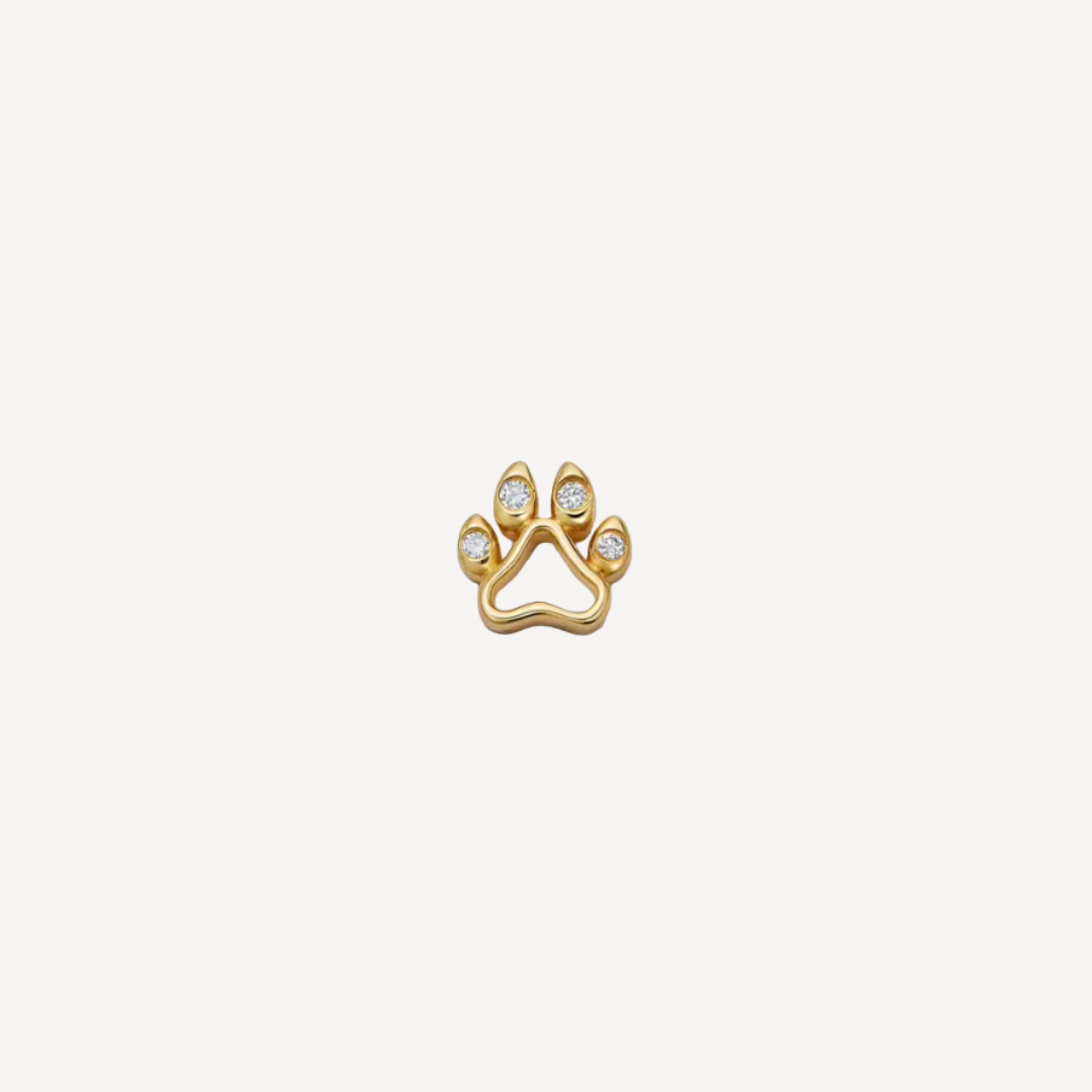 Dog Paw Print