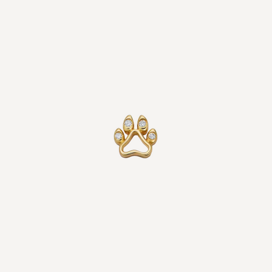 Dog Paw Print